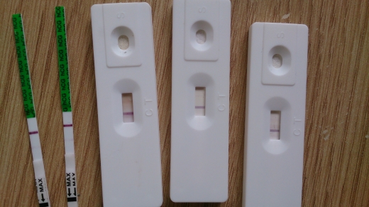 Home Pregnancy Test