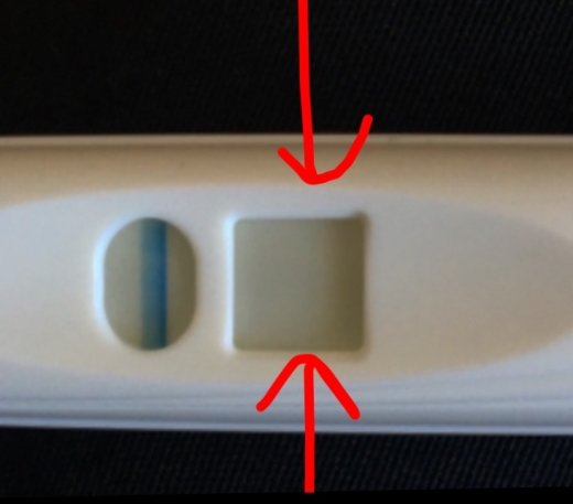 Accu-Clear Pregnancy Test, 19 Days Post Ovulation, Cycle Day 36