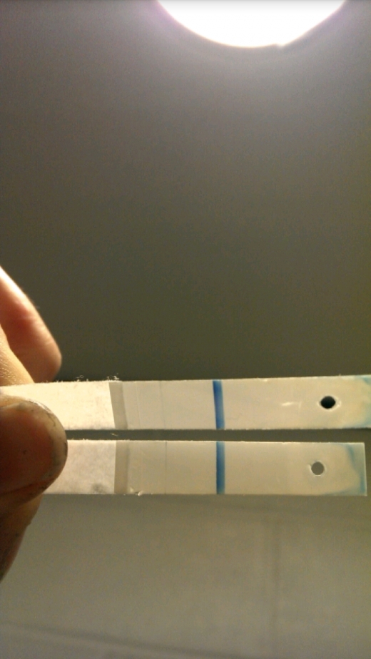 Generic Pregnancy Test, 10 Days Post Ovulation, FMU, Cycle Day 29