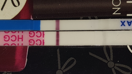 Home Pregnancy Test