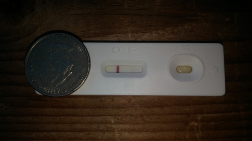 Home Pregnancy Test