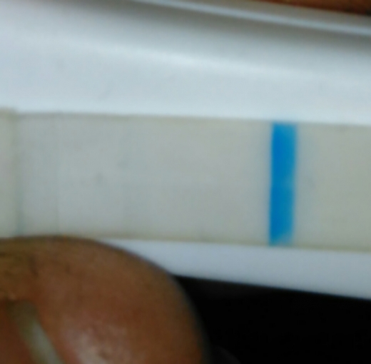 Generic Pregnancy Test, 10 Days Post Ovulation