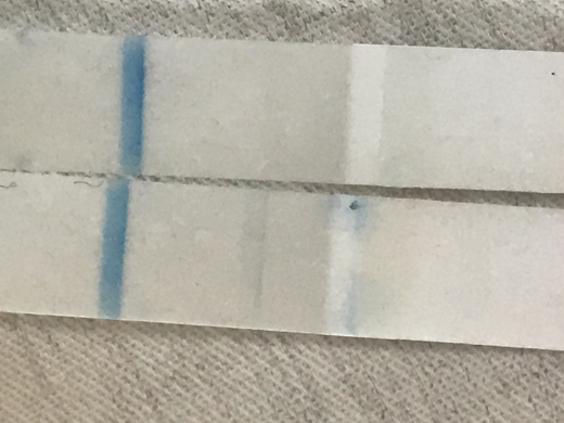 e.p.t. Pregnancy Test, 20 Days Post Ovulation