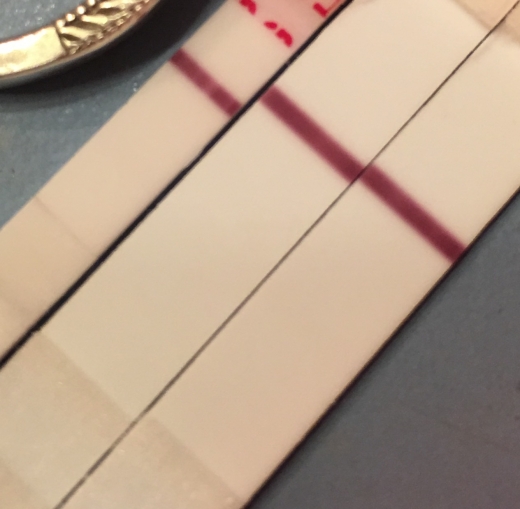 Home Pregnancy Test, FMU, Cycle Day 24