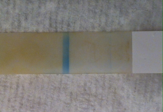 Equate One Step Pregnancy Test, 14 Days Post Ovulation, Cycle Day 41
