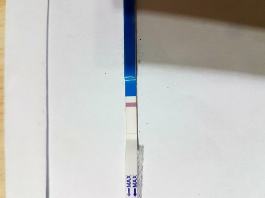 Home Pregnancy Test, 10 Days Post Ovulation
