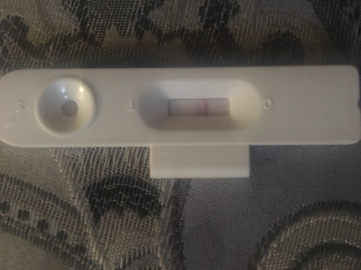 Home Pregnancy Test