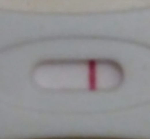 New Choice Pregnancy Test