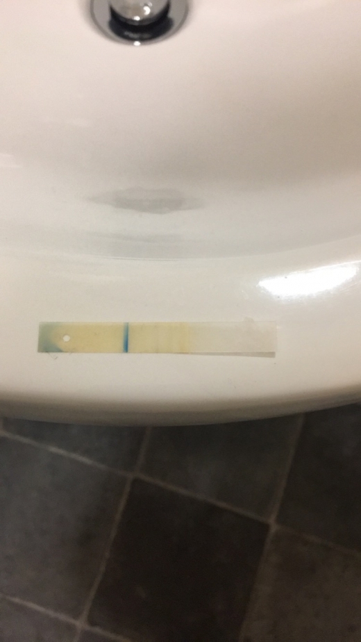 Home Pregnancy Test