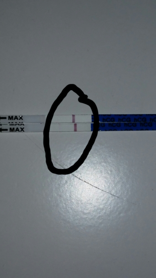 New Choice Pregnancy Test