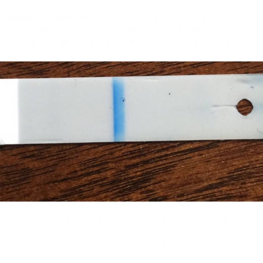 Equate One Step Pregnancy Test