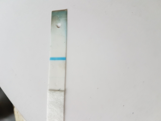 Home Pregnancy Test, 15 Days Post Ovulation