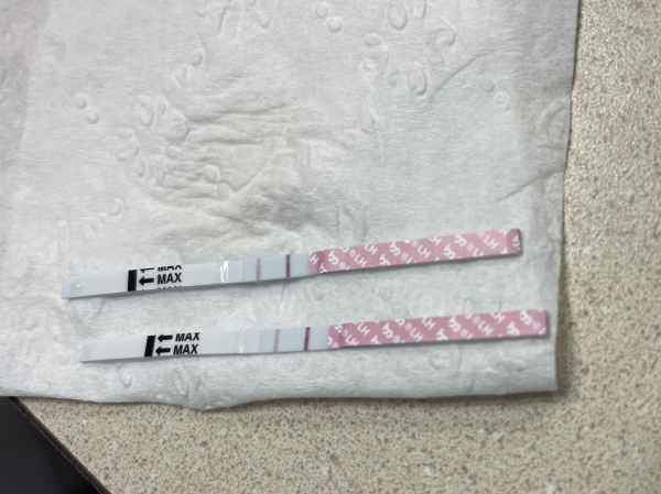Generic Ovulation Test, Tested cycle day 30