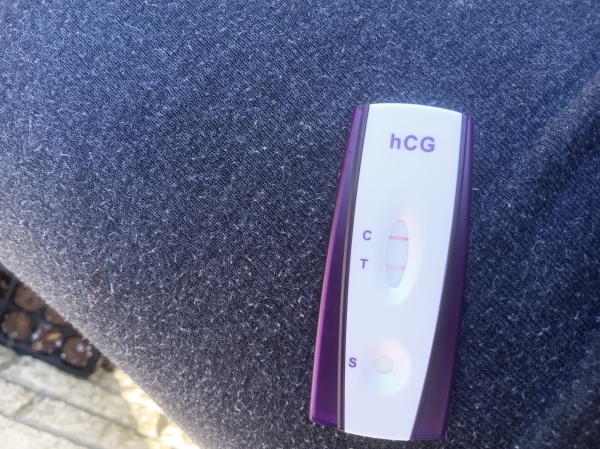 New Choice (Dollar Tree) Pregnancy Test, Cycle Day 37